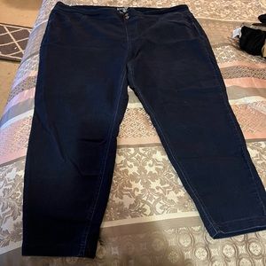 Terra & Sky Dark Wash Jeans (3X)